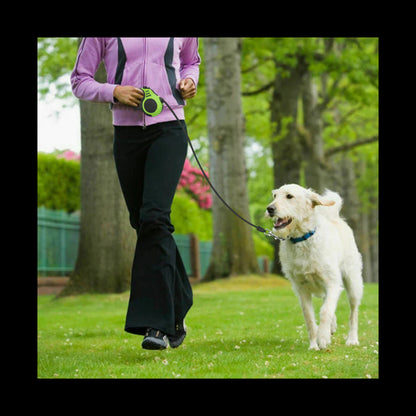 Automatic Retractable Dog Leash - Dual Size Options with Brake & Lock Safety System